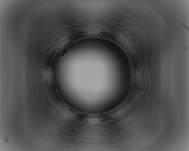 X0000093360228200710111500