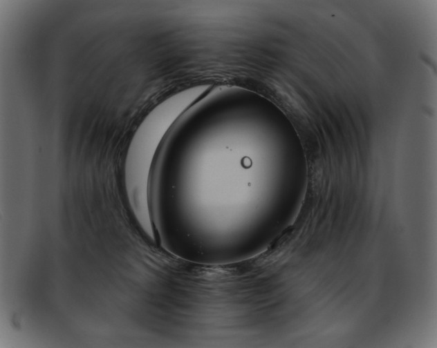 X0000093360229200710111500