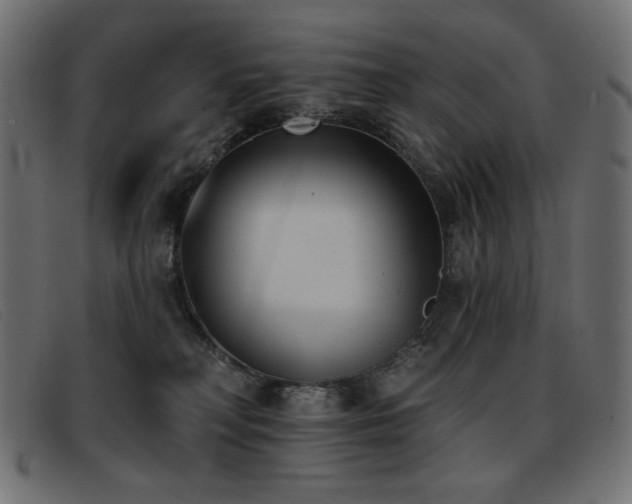 X0000093360230200710111500