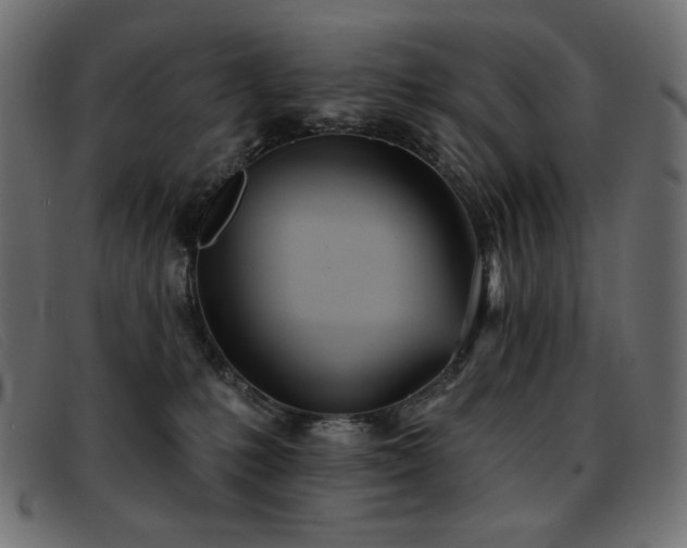 X0000093360231200710111500