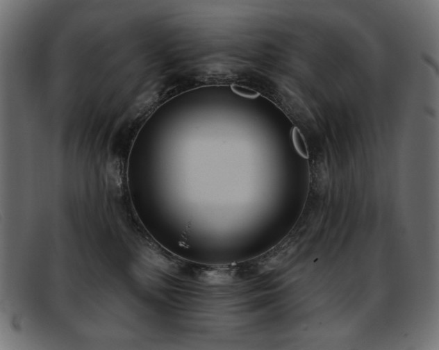X0000093360232200710111500