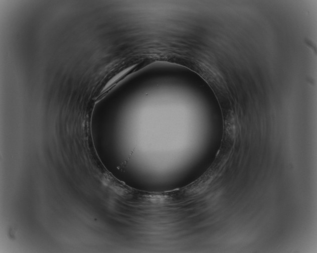 X0000093360233200710111500