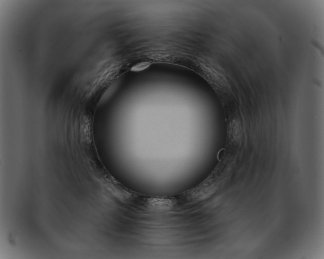 X0000093360234200710111500