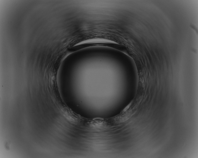 X0000093360235200710111500