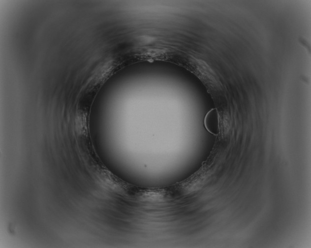 X0000093360236200710111500