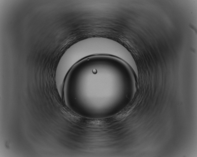 X0000093360237200710111500
