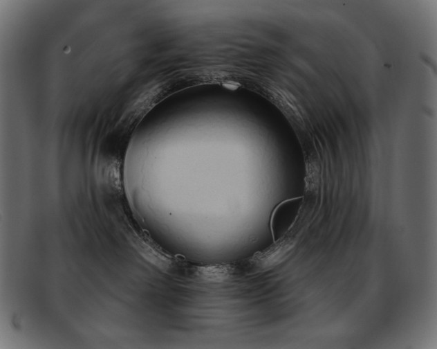 X0000093360238200710111500