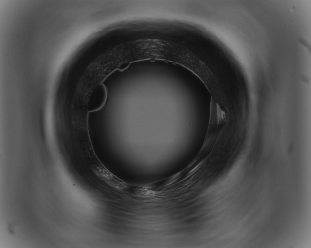 X0000093360239200710111500