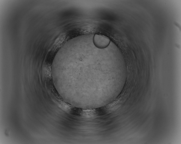 X0000093360240200710111500