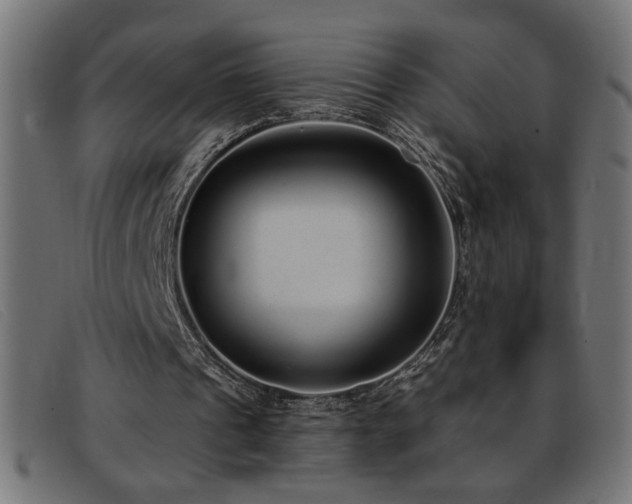 X0000093360241200710111500