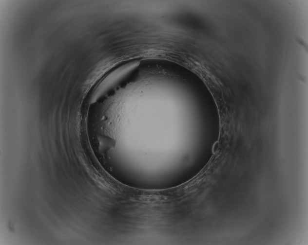 X0000093360242200710111500