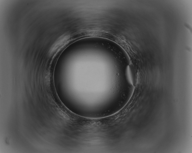 X0000093360243200710111500