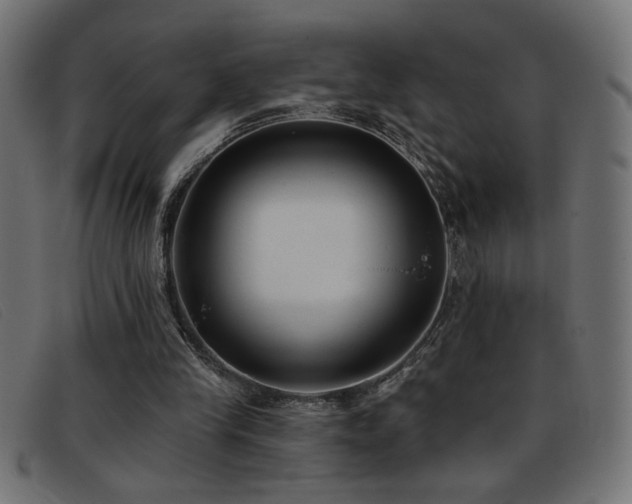 X0000093360245200710111500