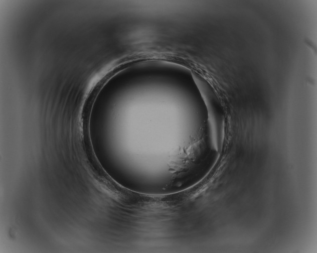 X0000093360246200710111500