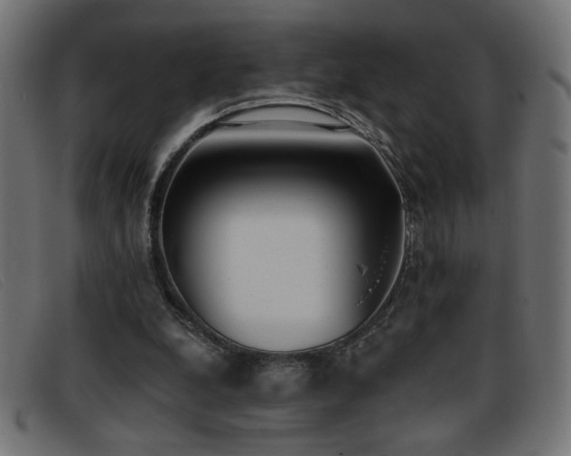 X0000093360248200710111500