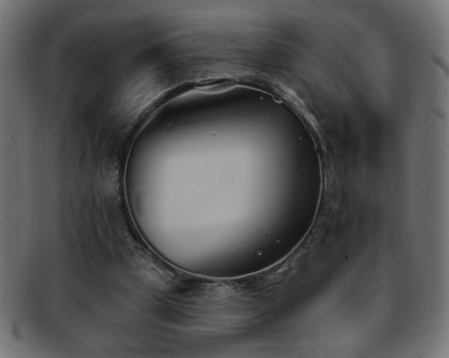 X0000093360249200710111500