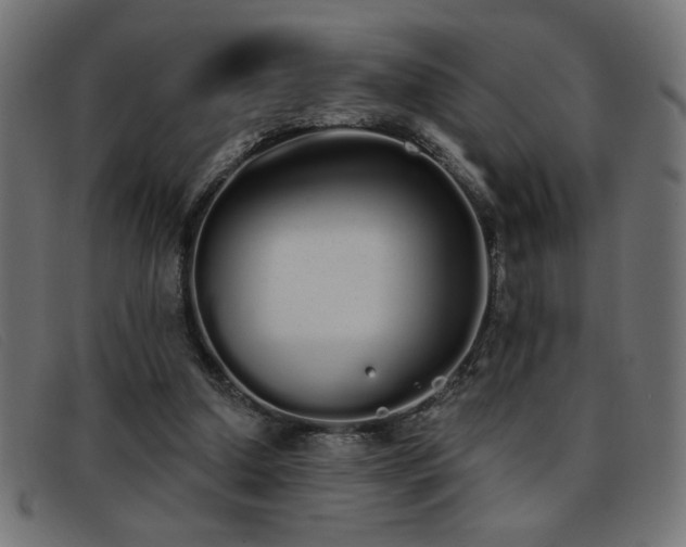 X0000093360250200710111500