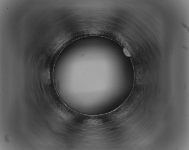 X0000093360251200710111500