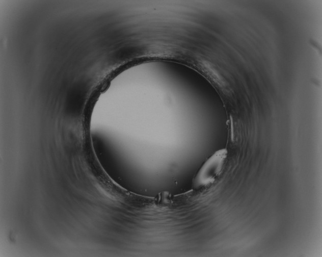X0000093360252200710111500