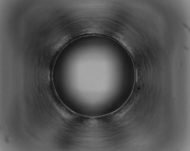 X0000093360253200710111500
