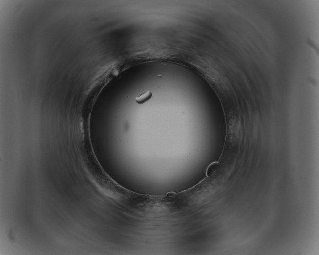 X0000093360254200710111500