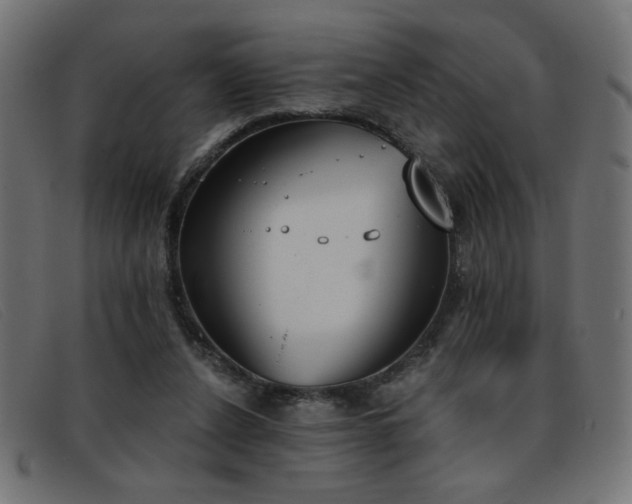 X0000093360256200710111500