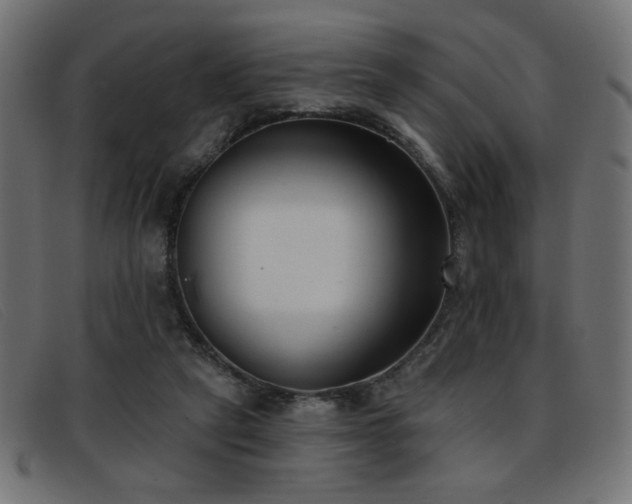 X0000093360257200710111500
