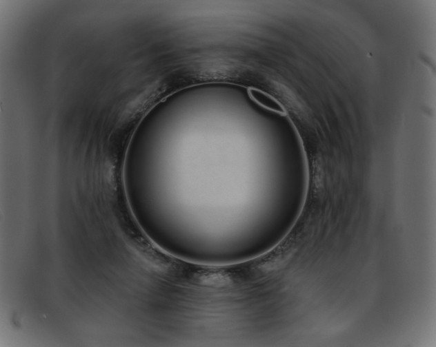 X0000093360258200710111500