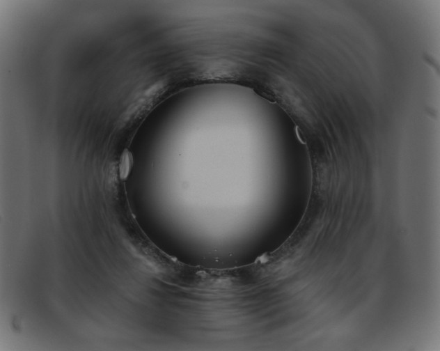 X0000093360260200710111500