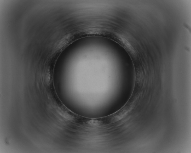 X0000093360261200710111500