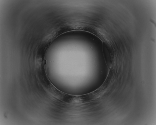X0000093360263200710111500
