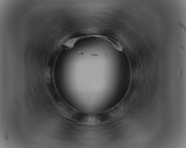 X0000093360264200710111500