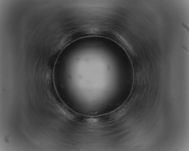 X0000093360265200710111500