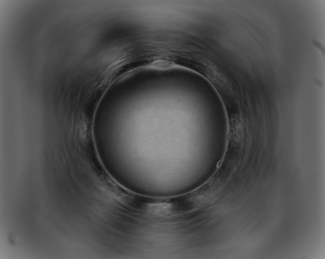 X0000093360266200710111500