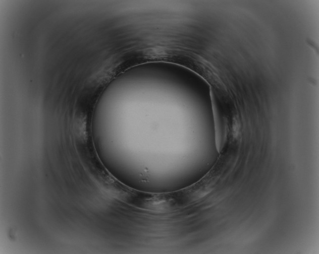 X0000093360267200710111500