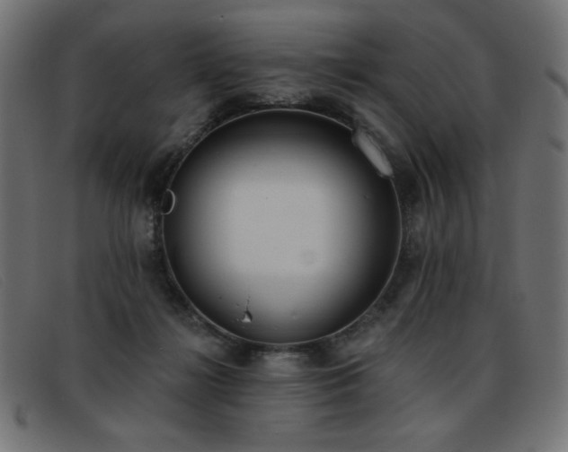 X0000093360268200710111500