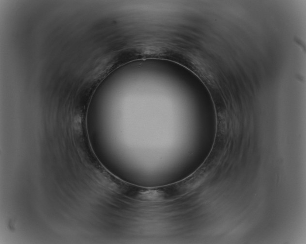 X0000093360269200710111500