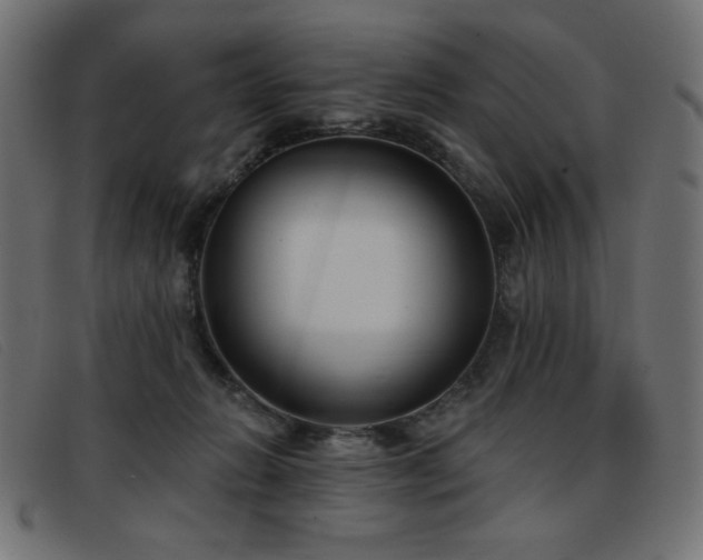 X0000093360270200710111500