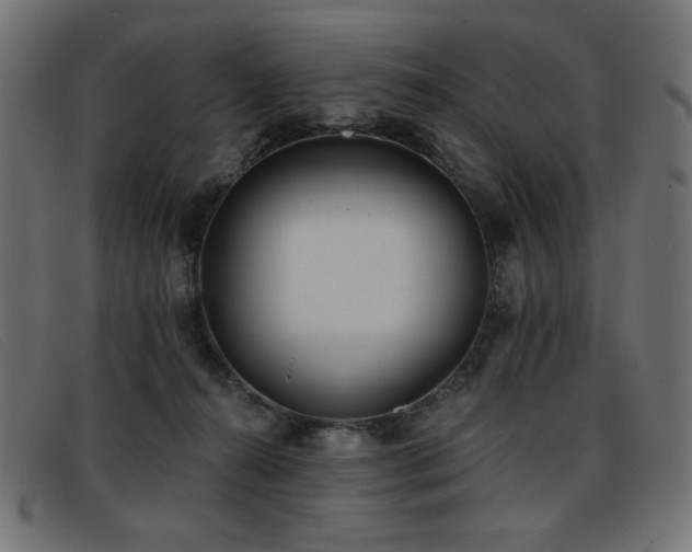 X0000093360272200710111500