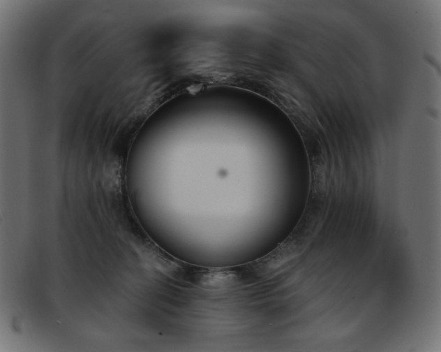 X0000093360274200710111500
