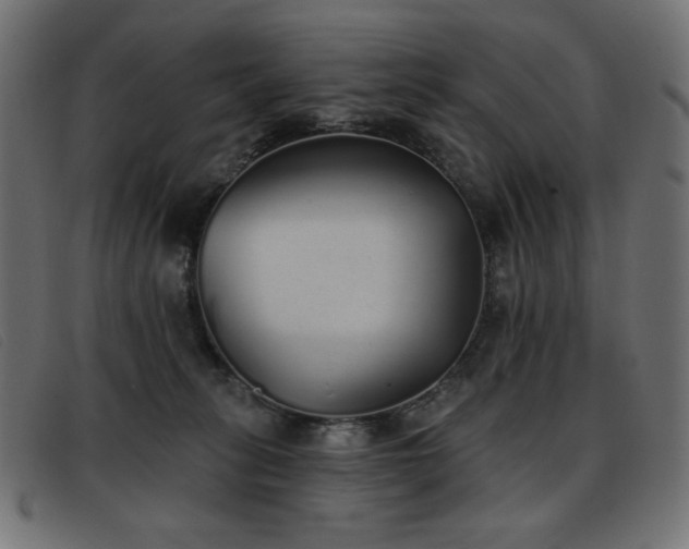 X0000093360275200710111500