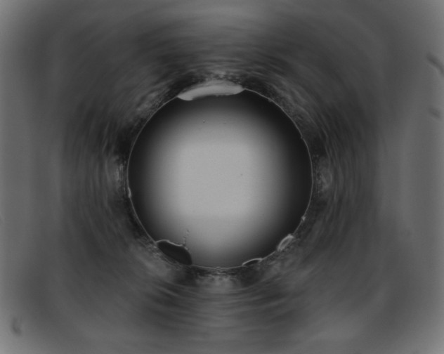 X0000093360276200710111500