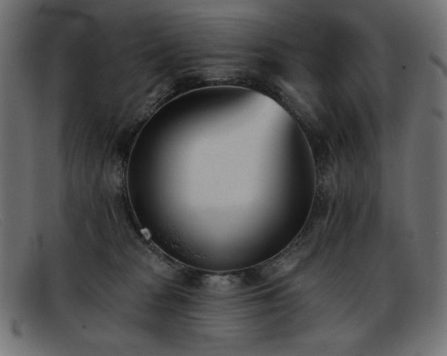 X0000093360277200710111500