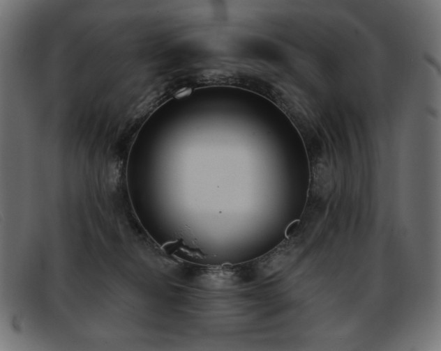 X0000093360278200710111500