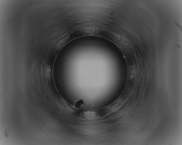 X0000093360279200710111500