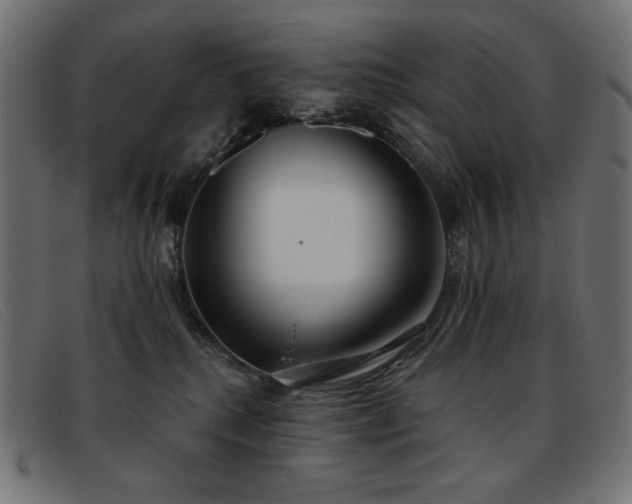 X0000093360280200710111500