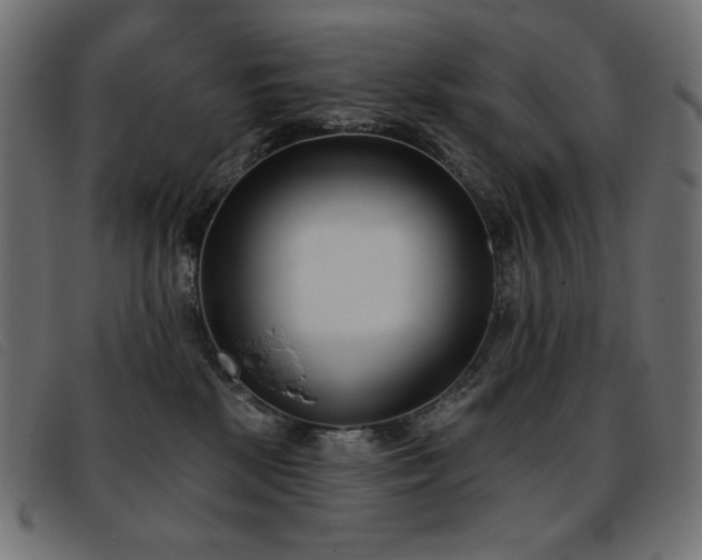 X0000093360281200710111500