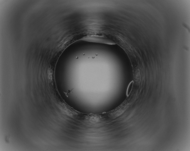 X0000093360282200710111500