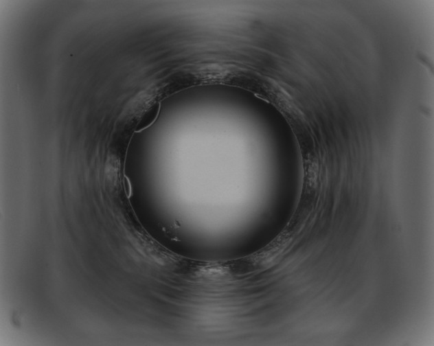 X0000093360283200710111500