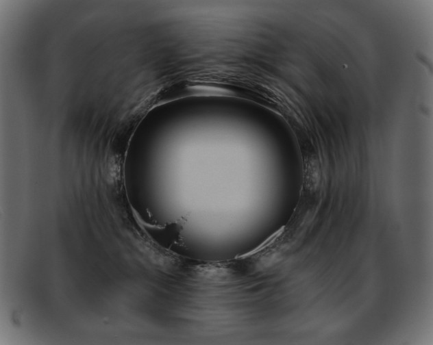 X0000093360284200710111500